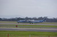 IMGP0370.JPG