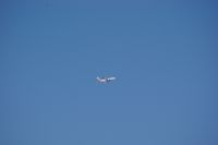 IMGP0459.JPG