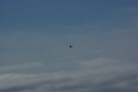 IMGP0090.JPG