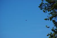 IMGP0037.JPG